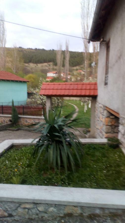 Guest House Green View Pirot Exteriér fotografie