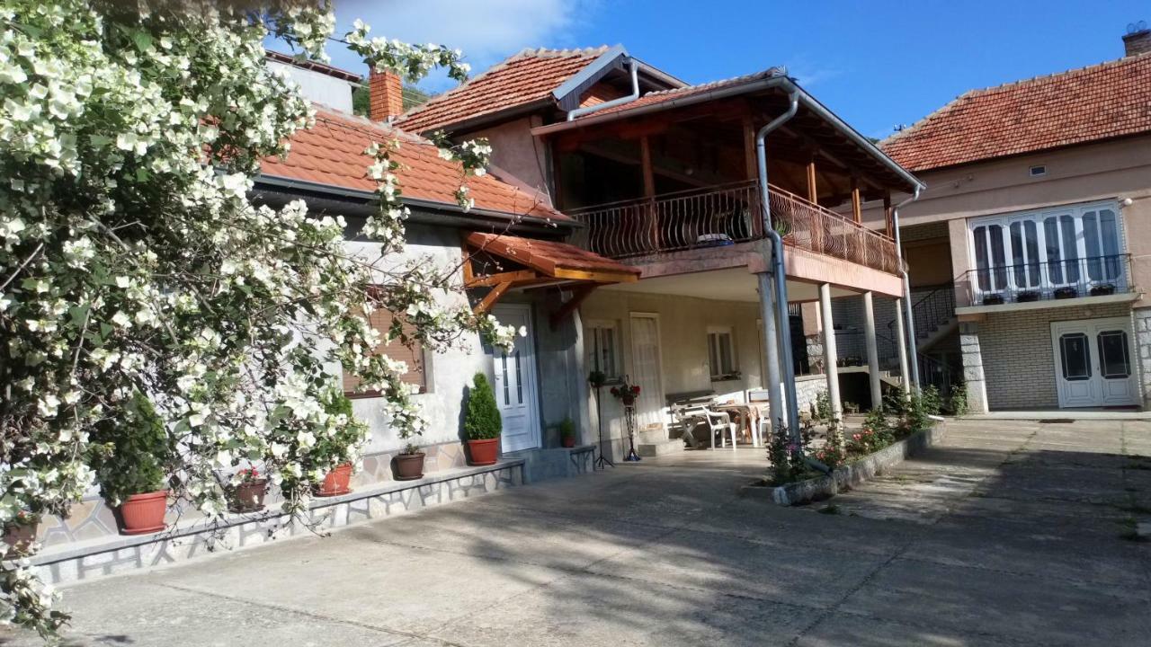 Guest House Green View Pirot Exteriér fotografie